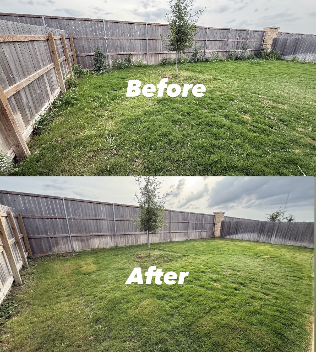 Yard Reset & Mow