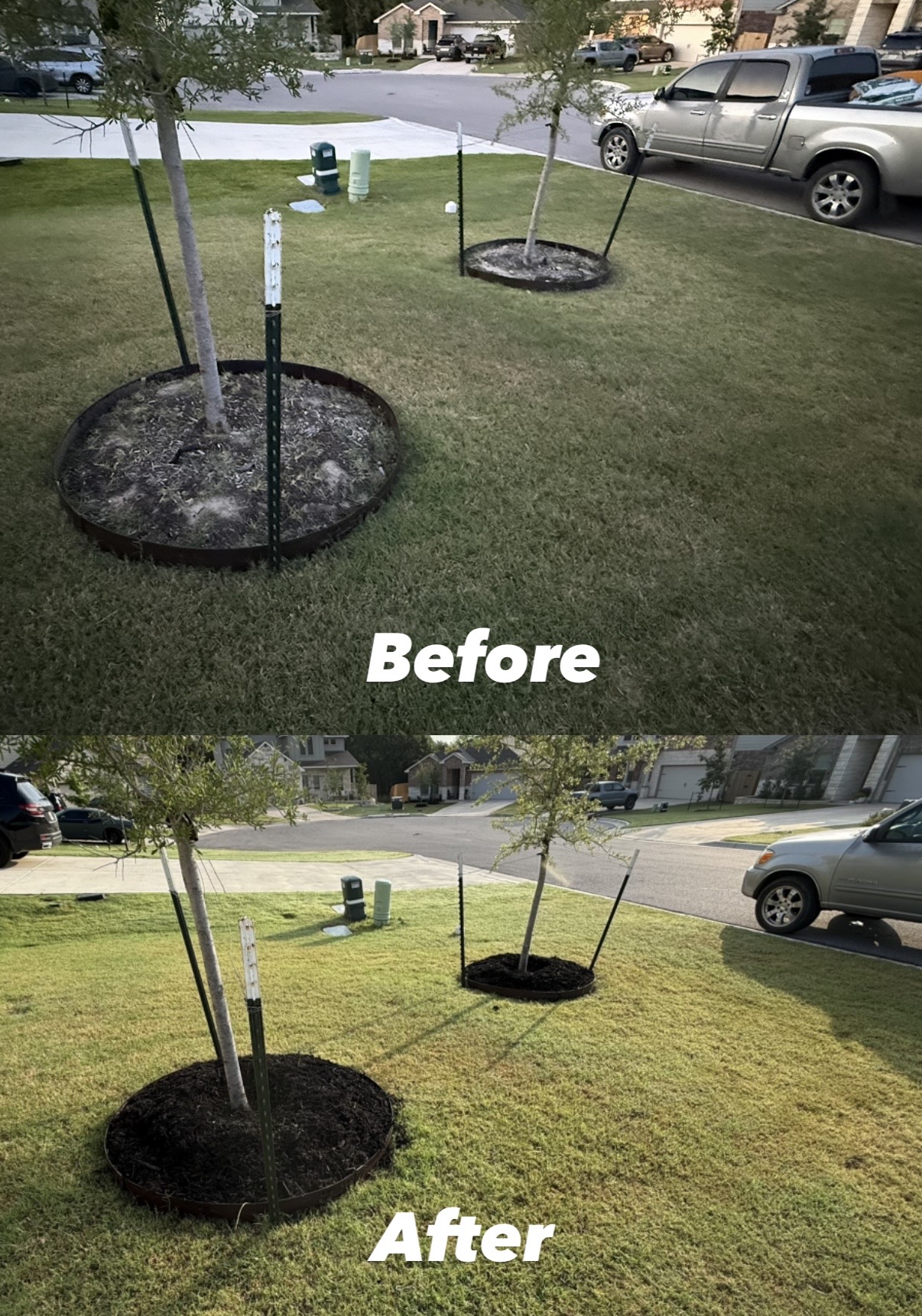 Twin Tree Mulching